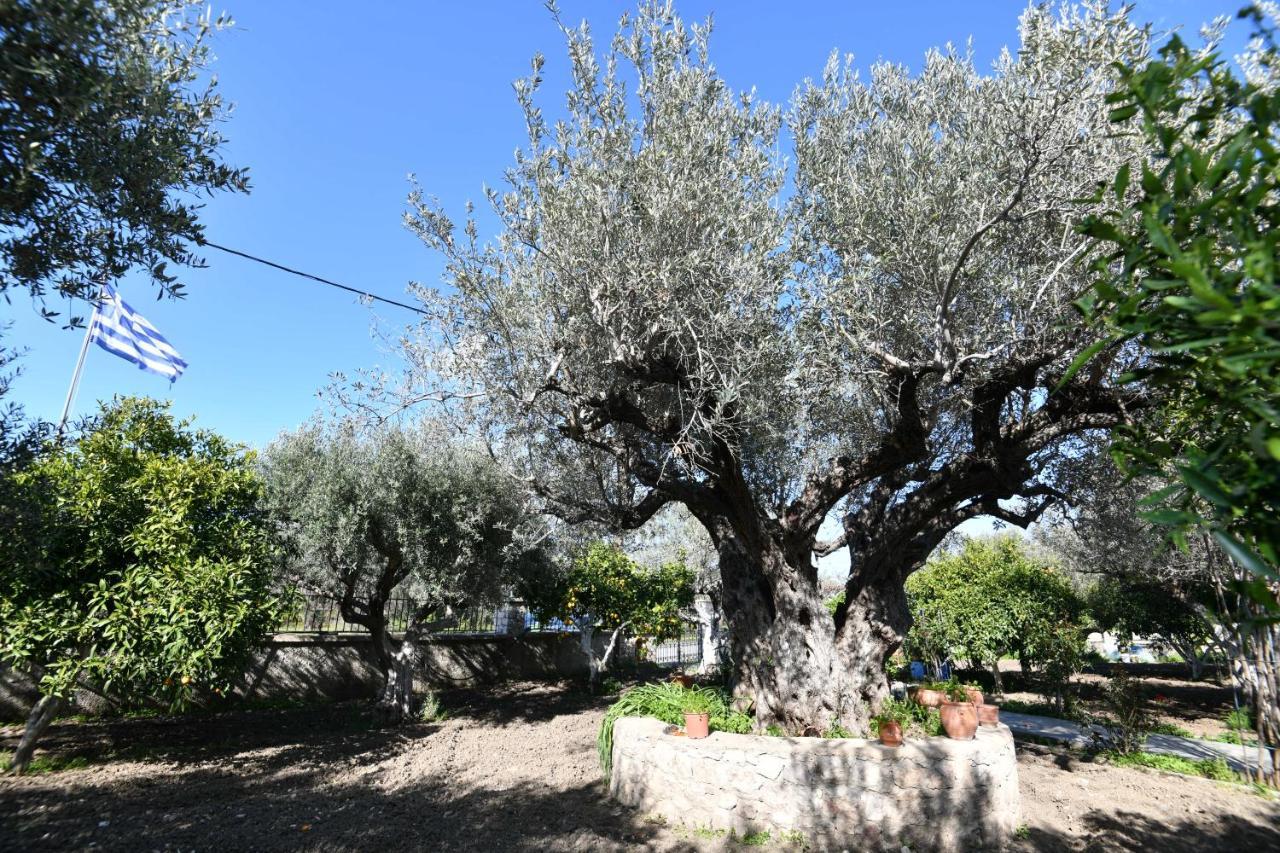 Villa Kavalino Kolímbia Kültér fotó