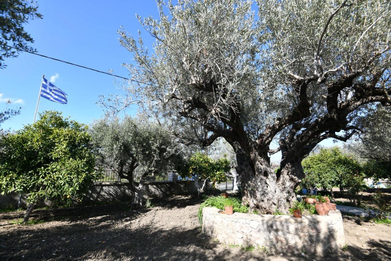 Villa Kavalino Kolímbia Kültér fotó